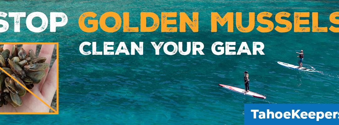 Protecting Tahoe from aquatic invaders